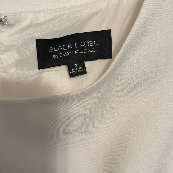 BLACK LABEL BY EVAN-PICONE COLOR BLOCK SLEEVELESS DRESS - Size 6 - Picture 2 of 4